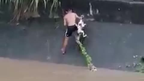 Brave and concerned boy saves the dog from drowning