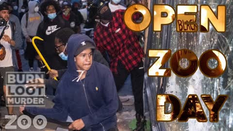 Open Zoo Day