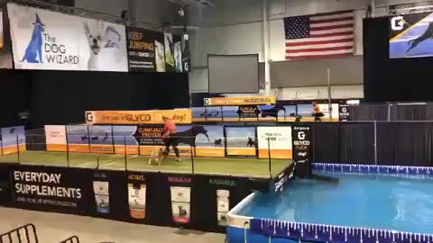 Zeke competing a Dockdogs World Championships 10/22/2020