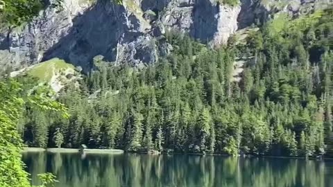 Captivating Beauty of Nature: Reflections in a Beautiful Lake Vol 156 #echoplanet