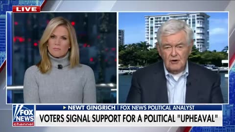 Newt Gingrich calls out liberal hypocrisy- 'Soft'
