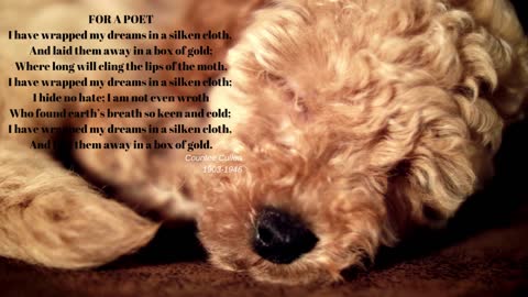 For A Poet by Cullen