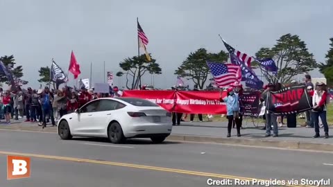 Wait, Where! Trump Supporters Cheer for Donald in the Streets of San Francisco