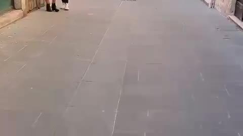 Skateboarding With My Dog