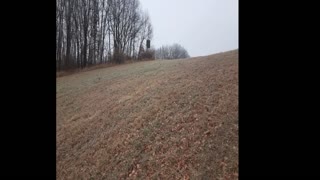 WALK WITH ME Around a Winter Hayfield