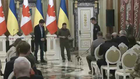 Zelensky Gives Dog Award in the Middle of a War