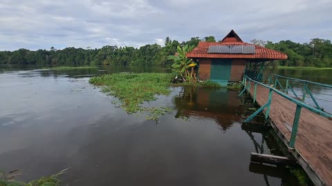Amazon Rainforest Jungle Tour - Uakari Lodge