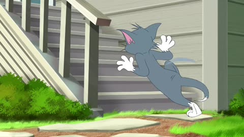 Tom and Jerry cartoon video