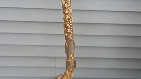 Justice for Timmy Henley Carved Walking Stick