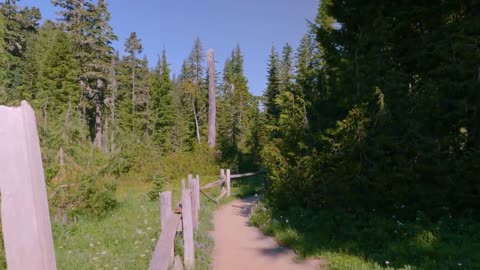 Mount Rainier National Park - Nature Relax Video, Summer Scenery