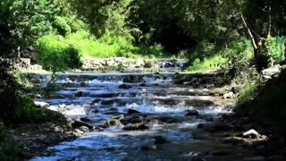 Sound of Creek/Waterfall/Birds/Nature/To Sleep, Heal While Sleeping/Meditate