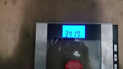 Weigh-In Apr 2, 2024
