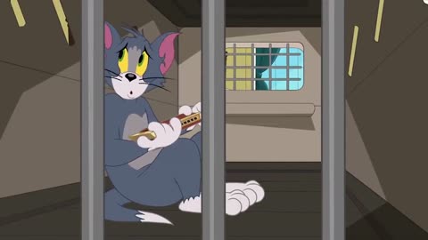 The Tom and Jerry Show Cats vs Cucumbers Boomerang UK