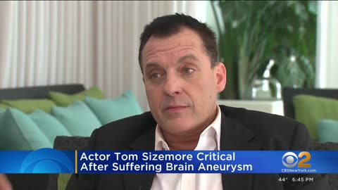 Actor Tom Sizemore in critical condition after suffering brain aneurysm