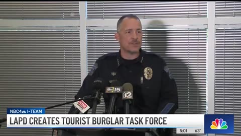 Color Us Completely Unsurprised: LAPD Task Force Is Created To Deal With Gangs Of 'Foreign Burglars'