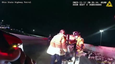 Body cam shows piglets run loose after semi overturns