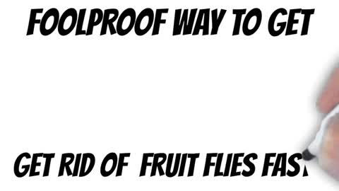 How to get rid of fruit flies in your yard! Build your own trap in under 5 minutes! Summary #Shorts