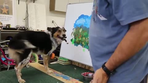 Artist Dog