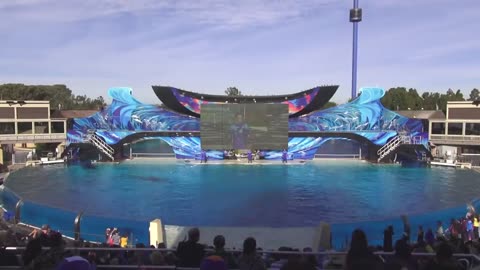 The Complete One Ocean Shamu Show at SeaWorld