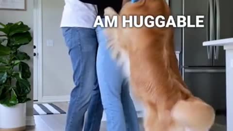 This Is What My Dog Does When I Hug My Husband
