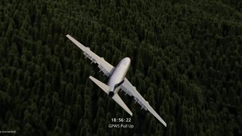 Flight animation