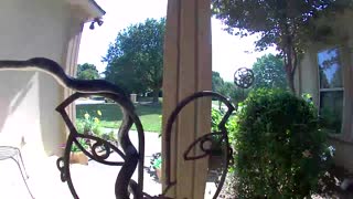 Snake Hanging Out at the Front Door