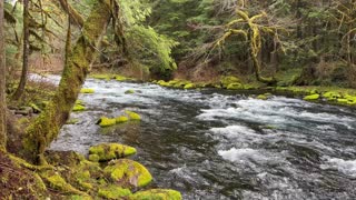 The Incredible McKenzie River – Willamette National Forest – Central Oregon – 4K