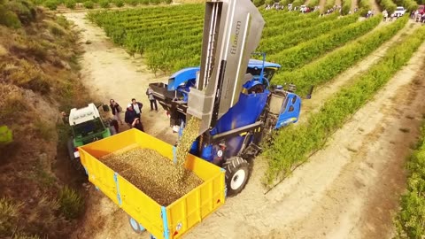 Awesome Almond Cultivation Technology - Almond Farming and Harvest - Almond processing in factory