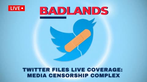 Congressional Hearing with TwitterFiles Journalists