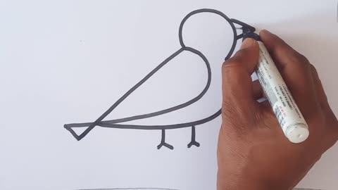 how to draw bird , very easy , step by step