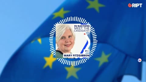 Mary Fitzgibbon-meet the candidates on Gript Media with John McGurk 20-05-24