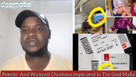 Pokello And Wicknell Chivhayo Implicated As Runners Of The Gold Mafia In Aljazeera Documentar