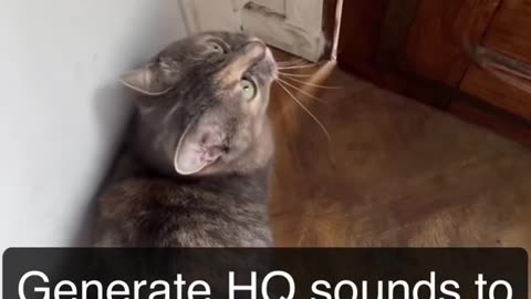 vocals that attracts cats. #sounds