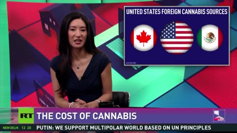RT Cost of Everything: Cannabis 24 Aug, 2023