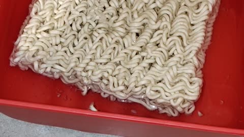 Eating Maruchan Ramen Noodle Beef Flavor, Dbn, MI, 5/18/24