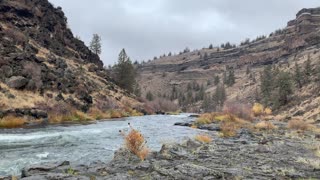 Central Oregon – Steelhead Falls – Deer Scampering Across the Shore!