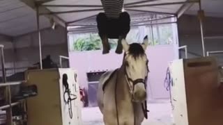 Smart horse move