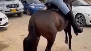 caballo