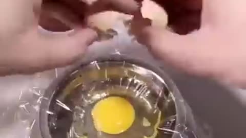 How a Chick is born from a Egg