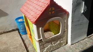 toy house for children