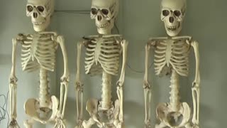 3 Skeletons