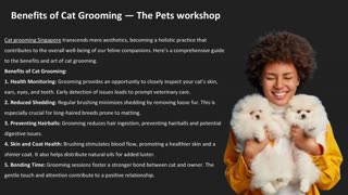 Benefits of Cat Grooming — The Pets workshop