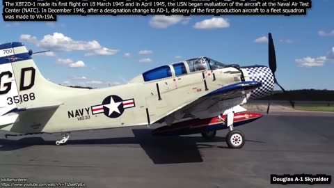 Big Old DOUGLAS SKYRAIDER AIRPLANE ENGINES Cold Startup_