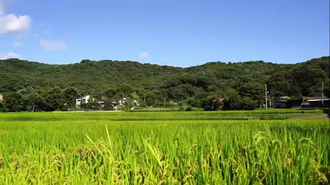 landscape houses field countryside