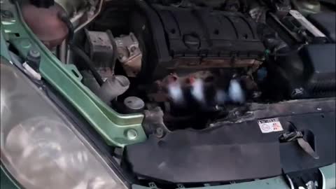 Automobile engine starting detection repair engine