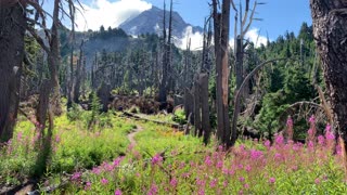 Oregon - Mount Hood - Colorful Alpine Landscape - 4K