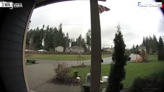 Porch Pirate Steals Package Right Out Of Deliver Driver's Hands