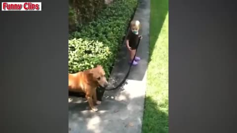"Babies Taking Dogs for a Walk on Beach, Park, and Pathway - Funniest Compilation"
