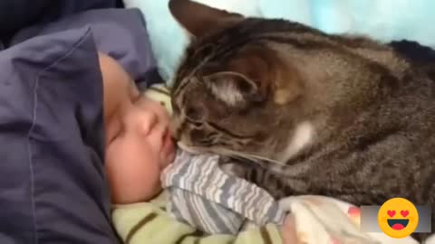 Cats love baby