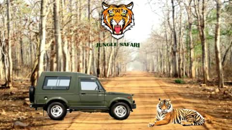 Siberian Tiger VS Bengal Tiger who will win __ Jungle Safari